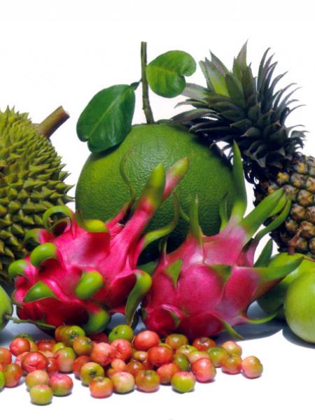 Cây Ăn Trái Các Loại