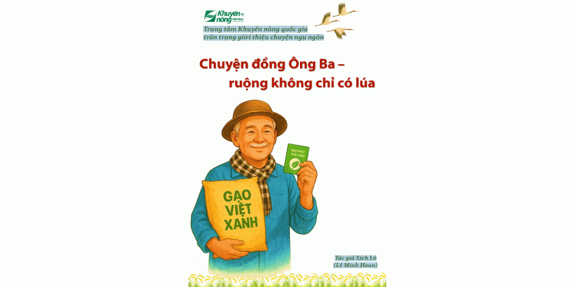 Chuyện đồng ông Ba - Ruộng không chỉ có Lúa - Gạo Việt xanh
