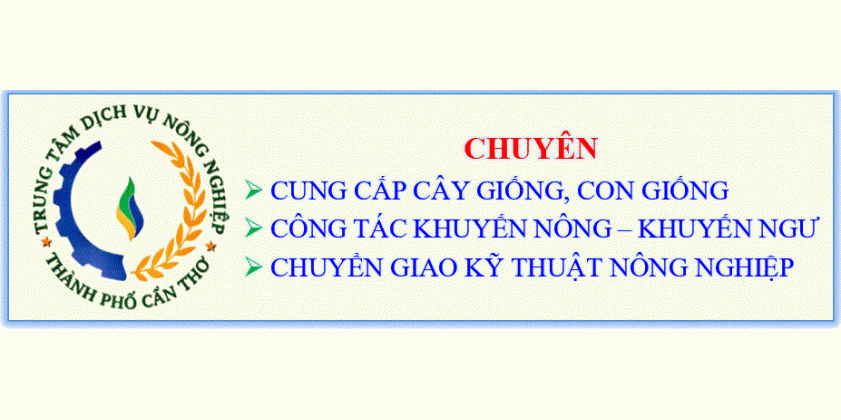 ĐƠN VỊ LIÊN KẾT D