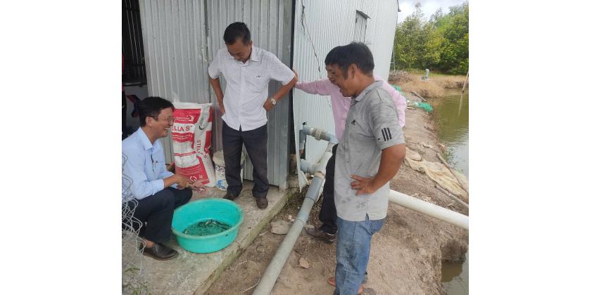 THĂM MÔ HÌNH NUÔI GHÉP CÁ THÁT LÁT CƯỜM VÀ CÁ SẶC RẰN TRONG AO ĐẤT